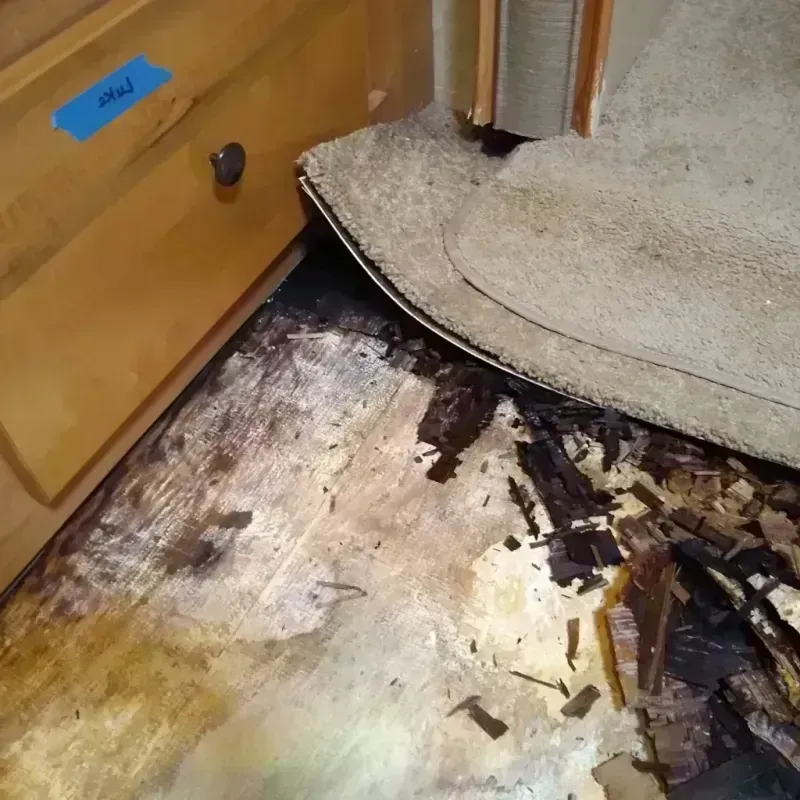 Wood Floor Water Damage in Willard, OH